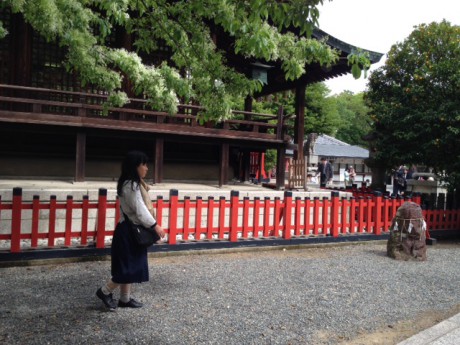 名古屋月曜会【mixi限定】特別企画　　「新カラマーゾフの兄弟　城山八幡宮＆周辺ツアー！」